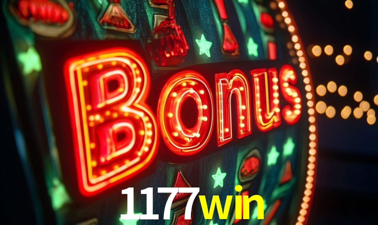 Interface Premium 1177win