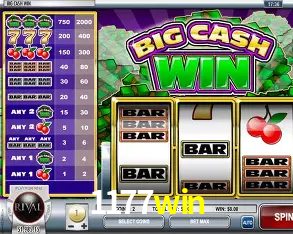 Apostas Esportivas na 1177win: Um Guia Completo